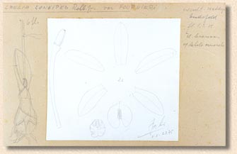 Pabst's card - photo by Sergio Araujo