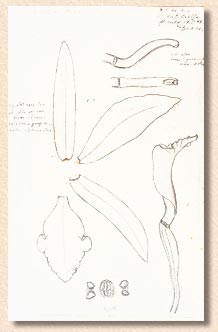 Pabst's card - photo by Sergio Araujo