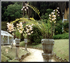 Photo: Marta de Moraes