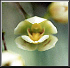 Photo: Marta de Moraes