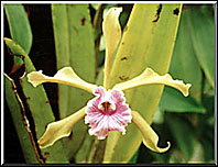 Photo: Marta de Moraes