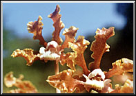 Photo: Marta de Moraes