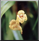 Photo: Marta de Moraes