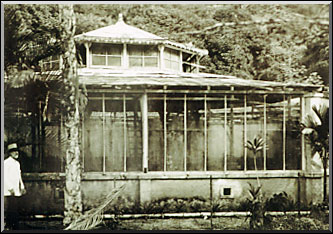 Photo: Arquivo JBRJ / Archive JBRJ