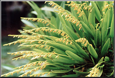 Photo: Marta de Moraes